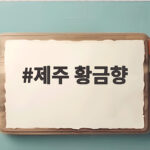 여름 제철 제주 황금향 맛과 보관 선물 정보 제주 황금향
