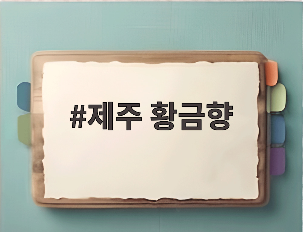 제주 황금향