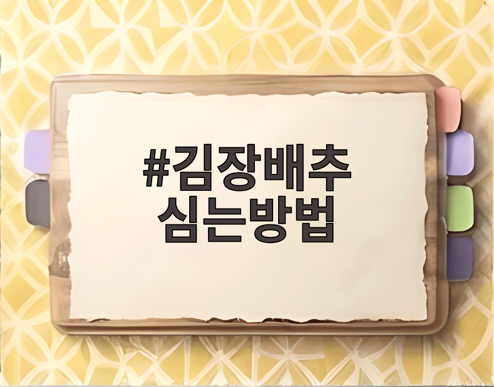 김장배추 심는방법