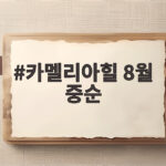 카멜리아힐 8월 중순