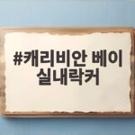 캐리비안베이 실내락커 이렇게 이용하세요 캐리비안 베이 실내락커