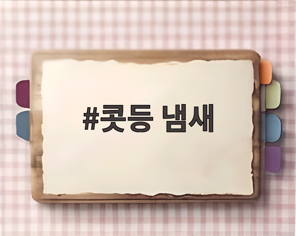 콧등 냄새
