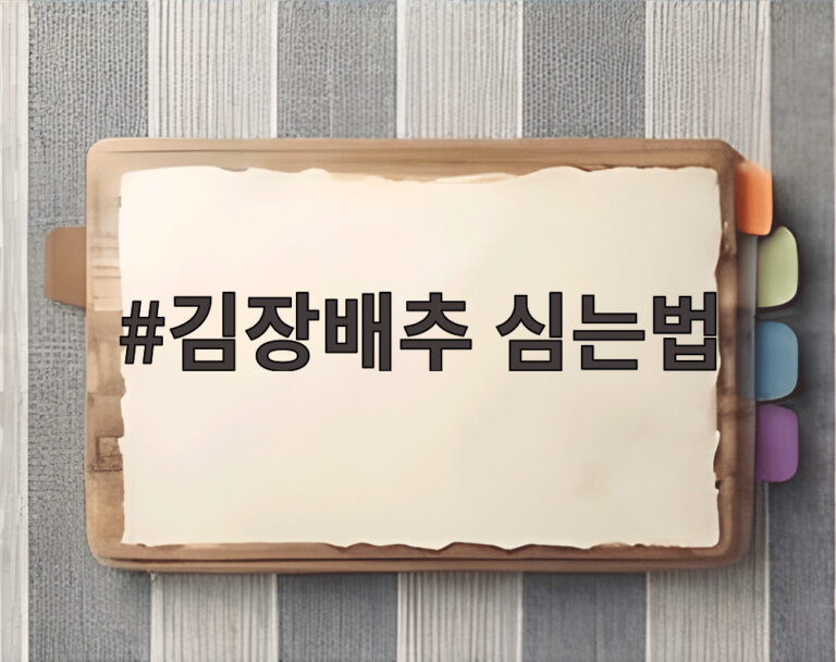 김장배추 심는법