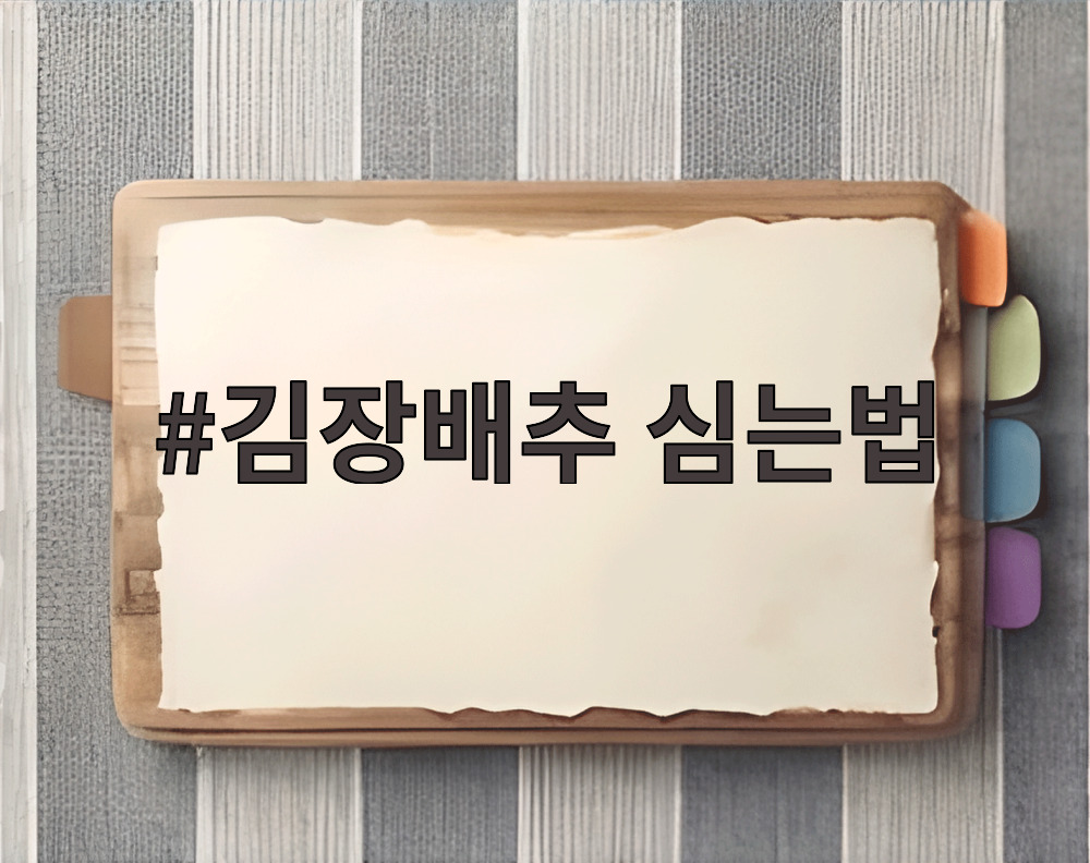 김장배추 심는법