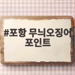 포항 무늬오징어 발산항 도보 에깅 포항 무늬오징어 포인트