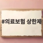의료보험 상한제 환급금 조회 신청 방법 의료보험 상한제
