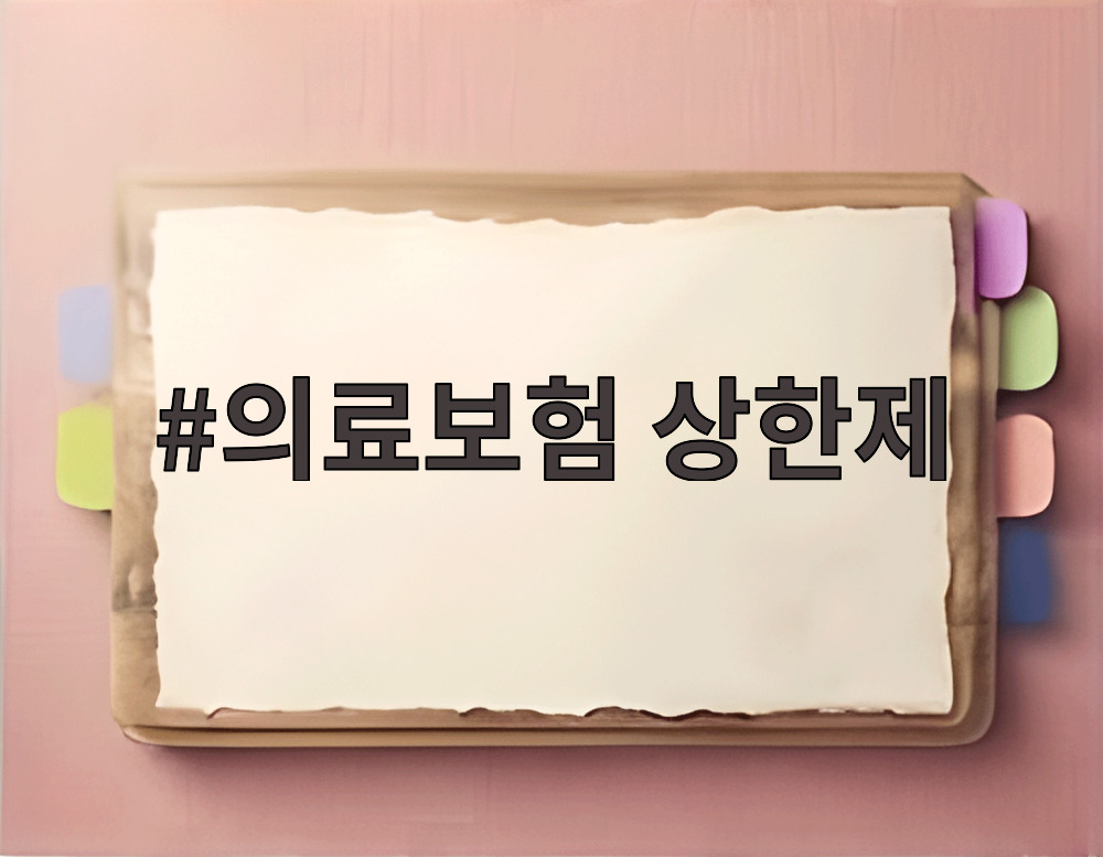 의료보험 상한제 환급 조회