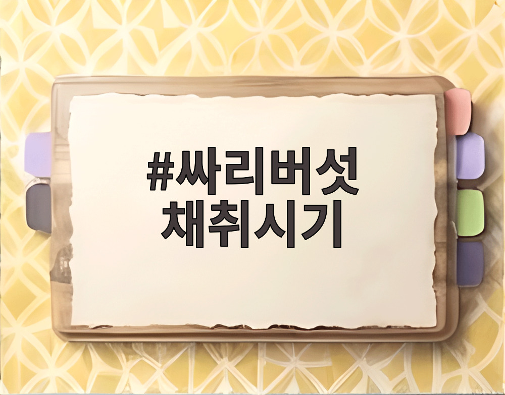 싸리버섯 채취시기