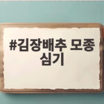 김장배추 모종 심기 시기와 방법 김장배추 모종 심기
