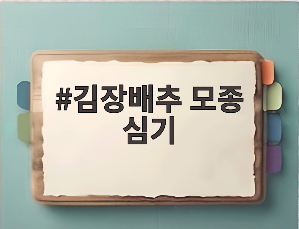 김장배추 모종 심기