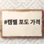 2026년 캠벨포도 가격 시세와 고르는 법 캠벨 포도 가격