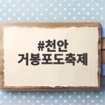 천안 거봉포도축제 일정 맛집 총정리 천안 거봉포도축제
