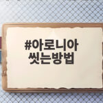 아로니아 씻는방법 이것만 기억하세요 아로니아 씻는방법
