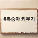 복숭아 씨앗 발아부터 묘목 키우기까지 총정리 복숭아 키우기