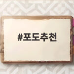 여름 보양과일 포도 시기별 비교 추천 포도추천