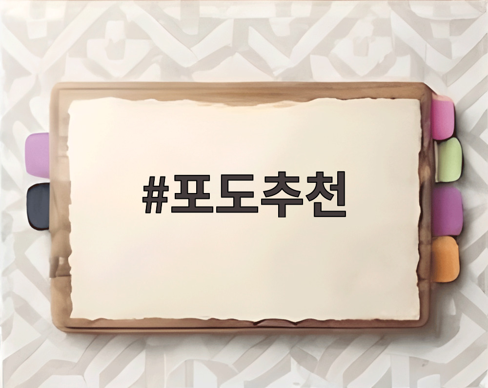 포도추천