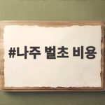 2026 나주 벌초 비용 대행 절약 정리 나주 벌초 비용