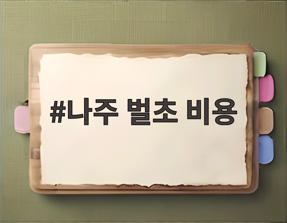 나주 벌초 비용
