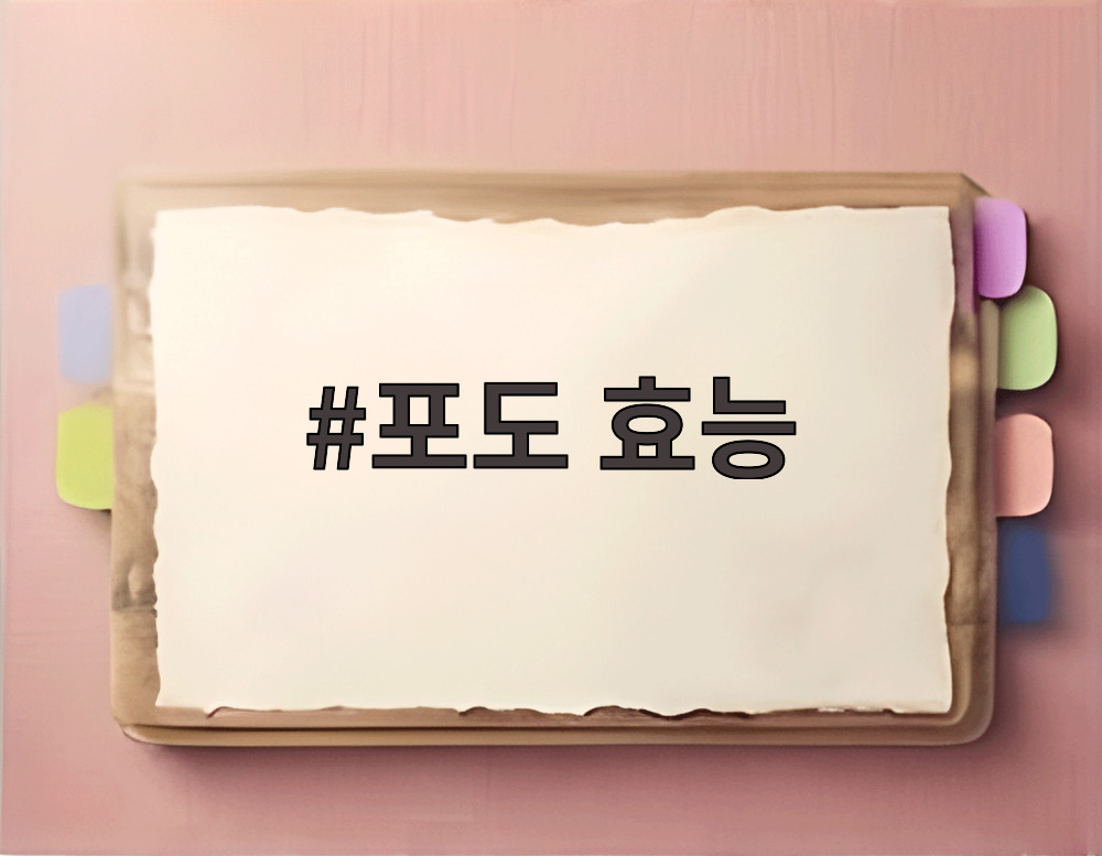 포도 효능