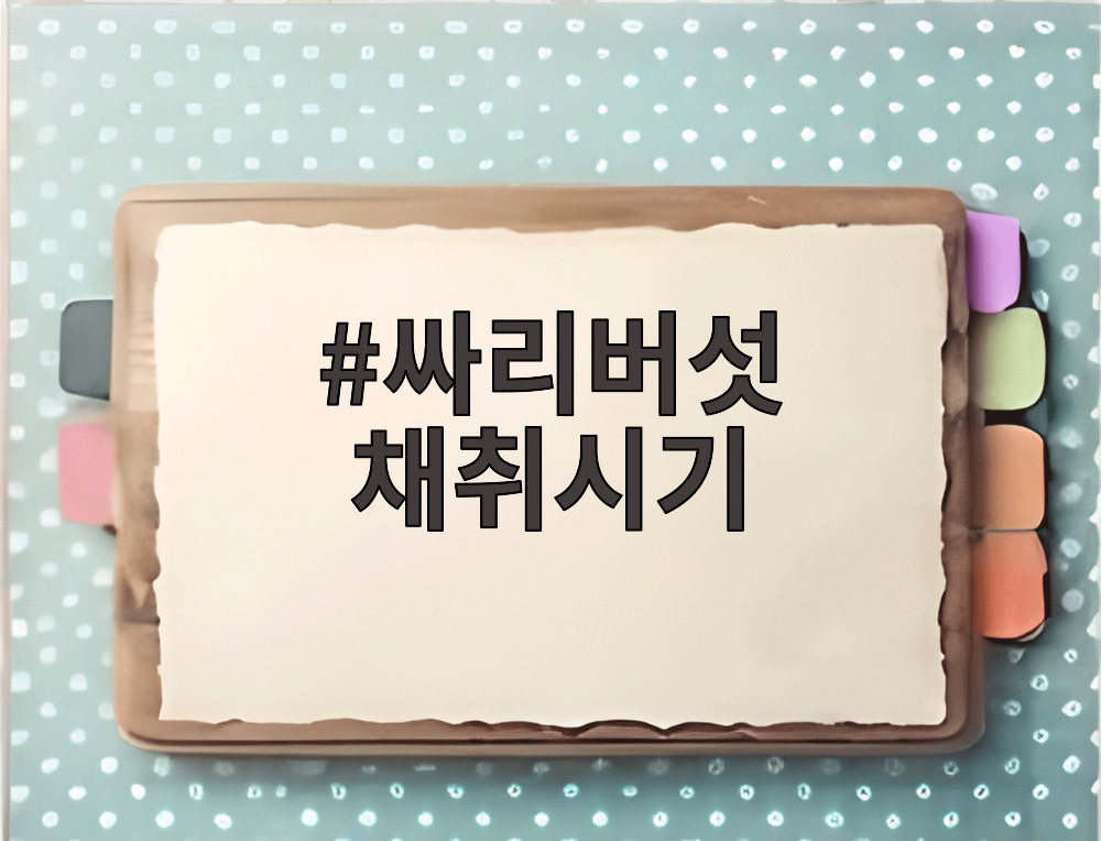 싸리버섯 채취시기
