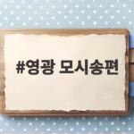 영광 모시송편