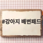 강아지 배변패드 고르는 법과 추천 제품 비교 강아지 배변패드