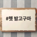 햇 밤고구마