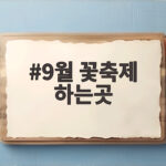 9월 꽃축제 하는곳