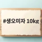 생오미자 10kg