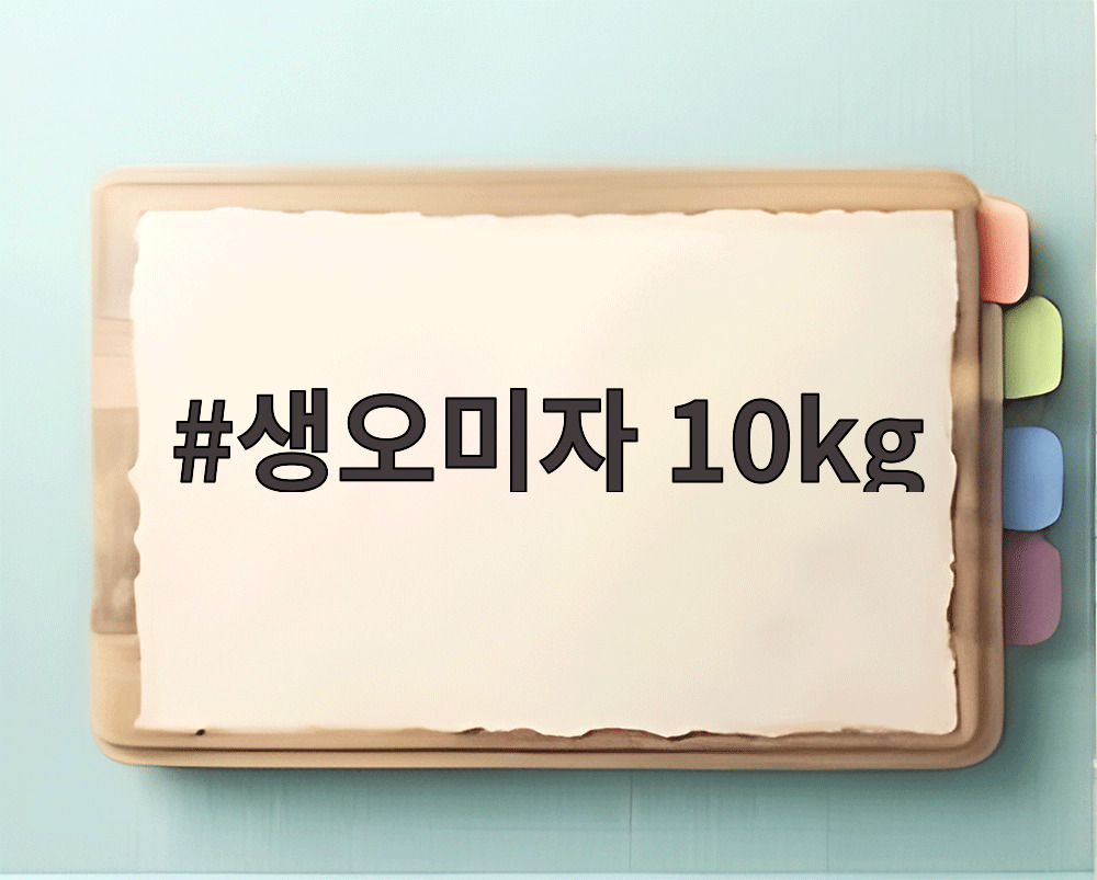 생오미자 10kg