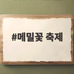메밀꽃 축제