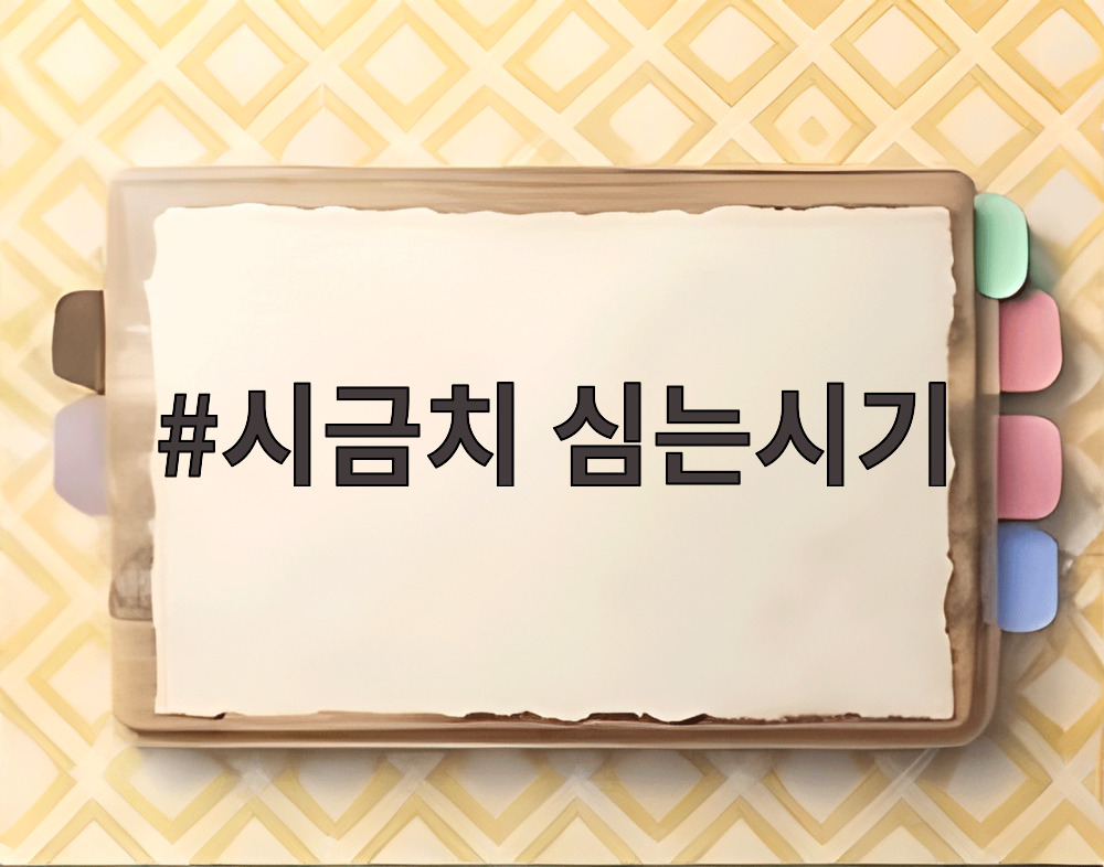 시금치 심는시기