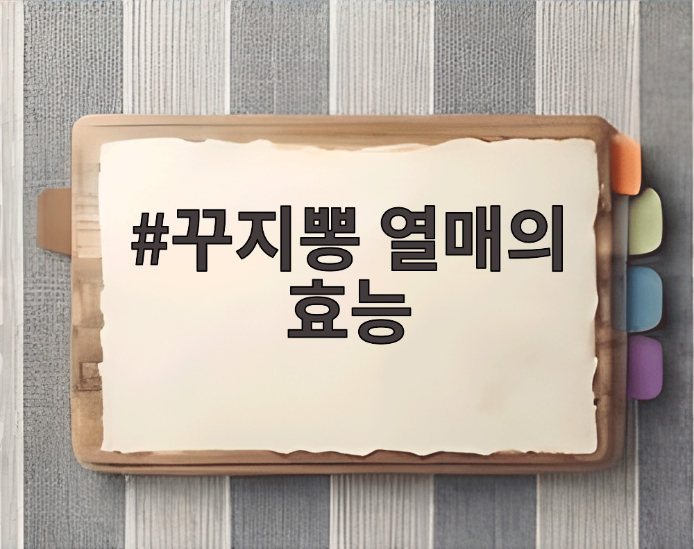 꾸지뽕 열매의 효능
