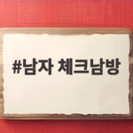 남자 체크남방