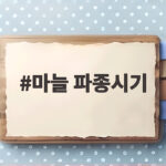2026 마늘 파종시기 완벽정리 마늘 파종시기