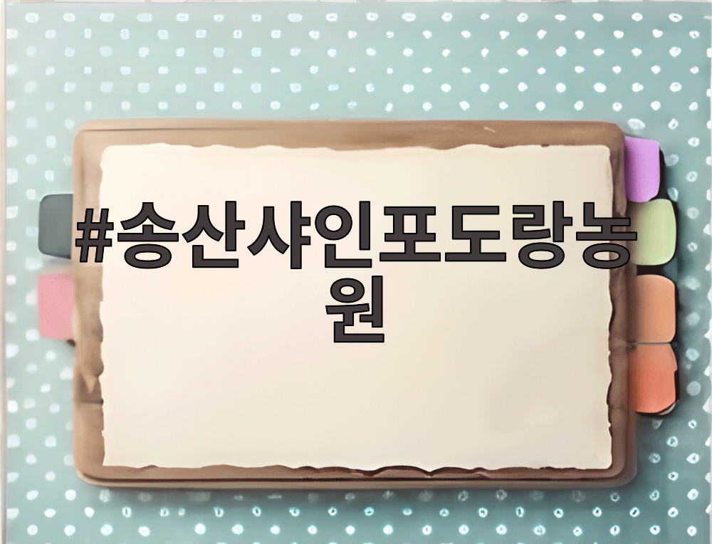송산샤인포도랑농원 샤인머스켓 과육이 꽉 찬 모습