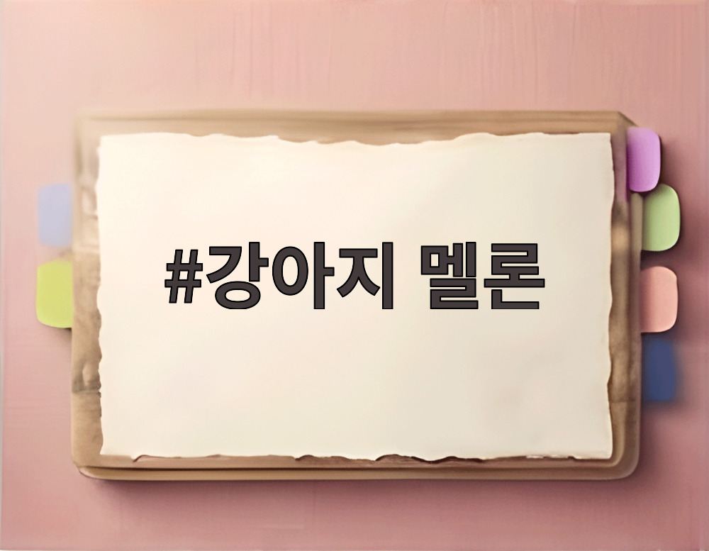 강아지 멜론