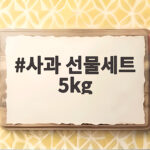 사과 선물세트 5kg 고르는 법 사과 선물세트 5kg