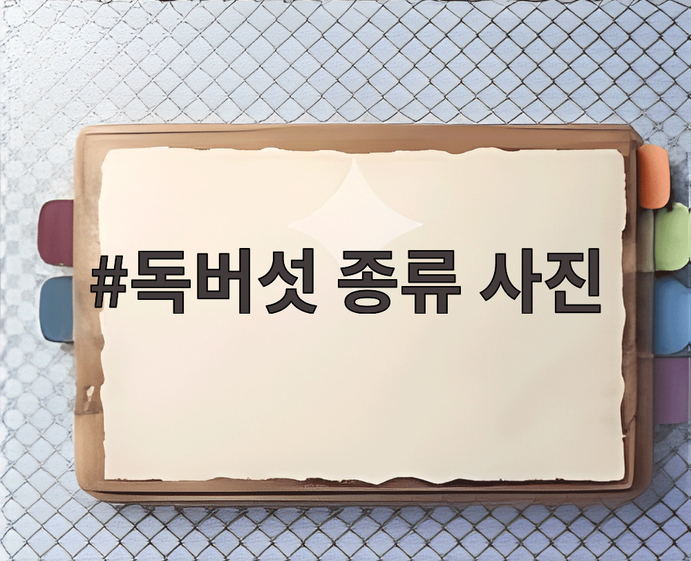 독버섯 종류 사진