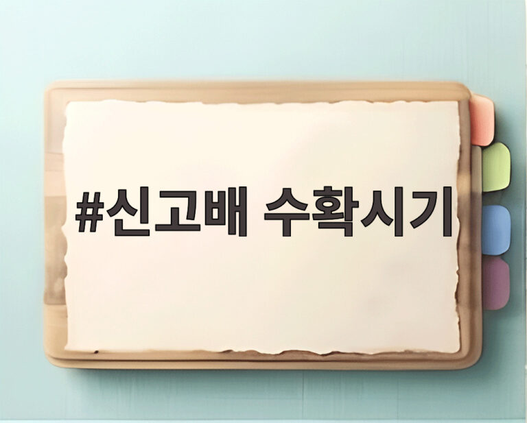 신고배 수확시기