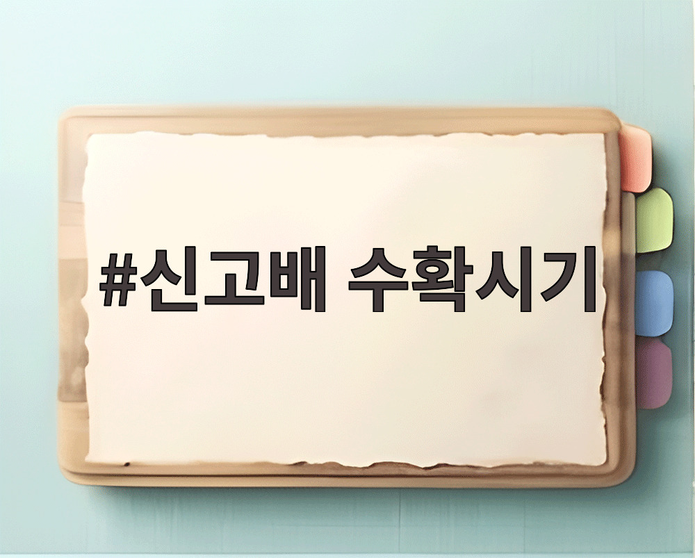 신고배 수확시기