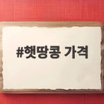 햇땅콩 가격 제철 알뜰 구매 보관 햇땅콩 가격