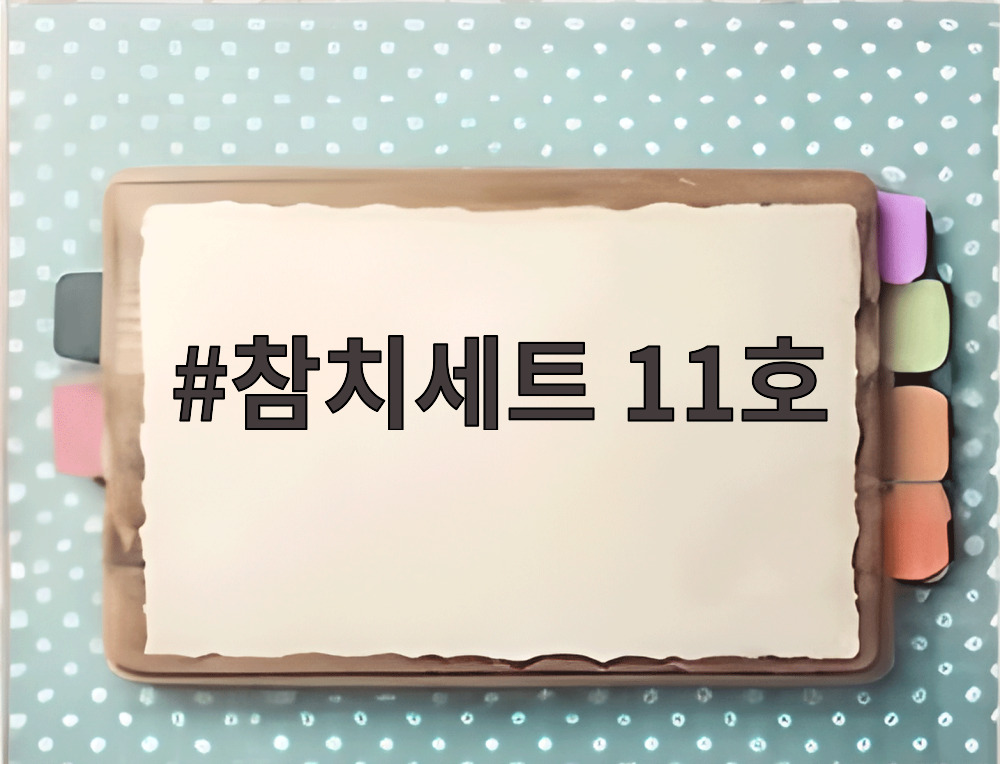 참치세트 11호