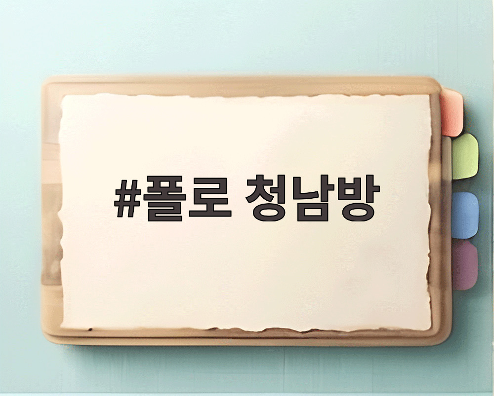 폴로 청남방