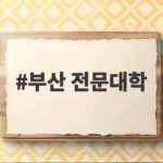 부산 전문대학 선택을 위한 입시 정보 총정리 부산 전문대학