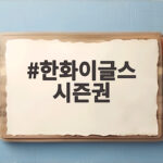 한화이글스 시즌권