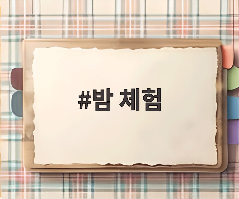 밤 체험