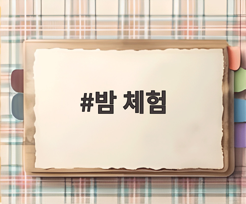 밤 체험