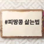 피땅콩 삶는법 촉촉하고 고소하게 피땅콩 삶는법