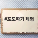 2026화성송산포도축제포도따기체험 포도따기 체험